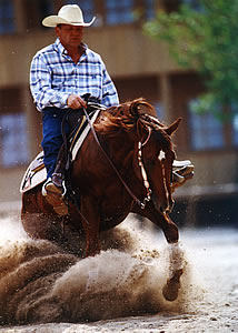 w_reining